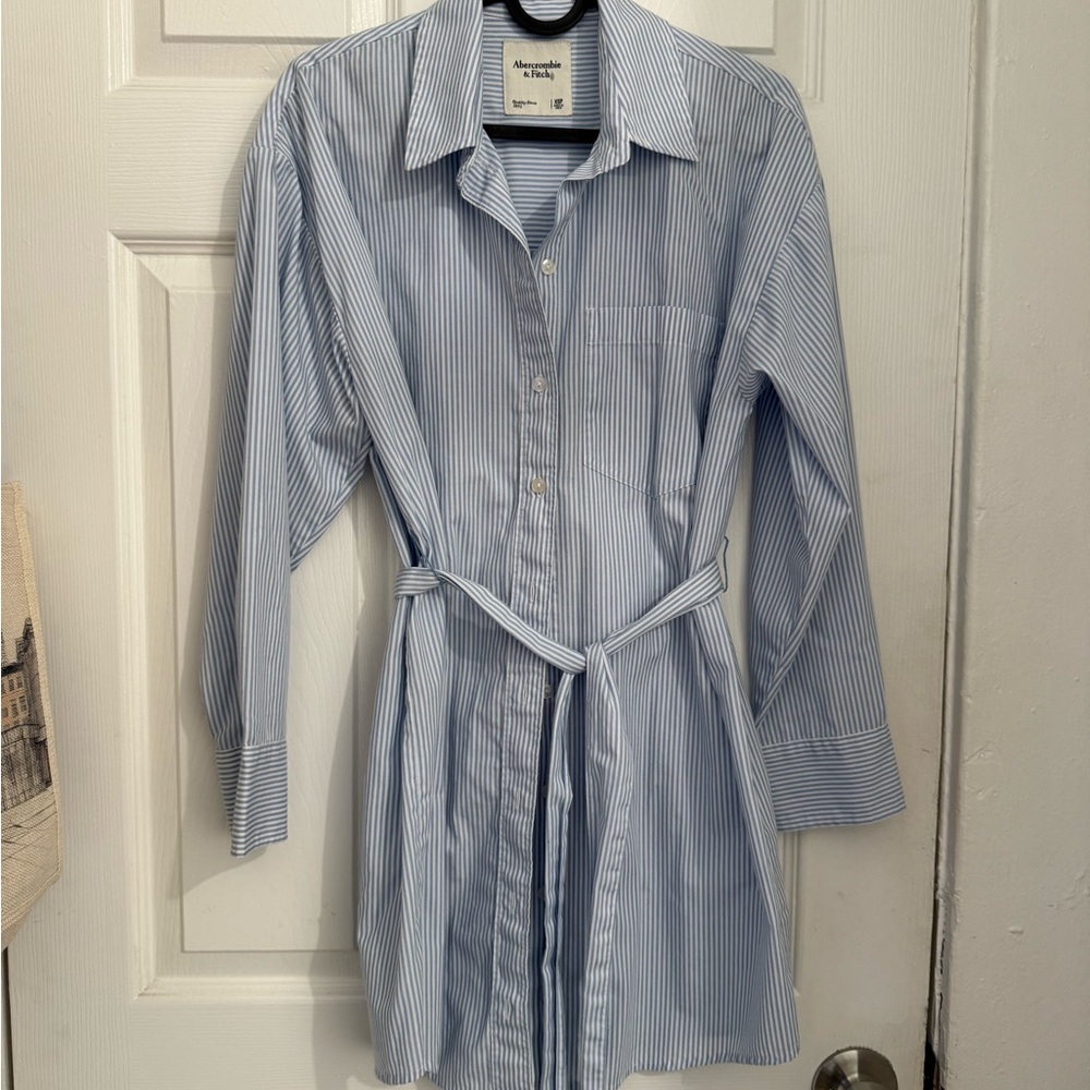 Abercrombie & Fitch Blue Striped Dress
